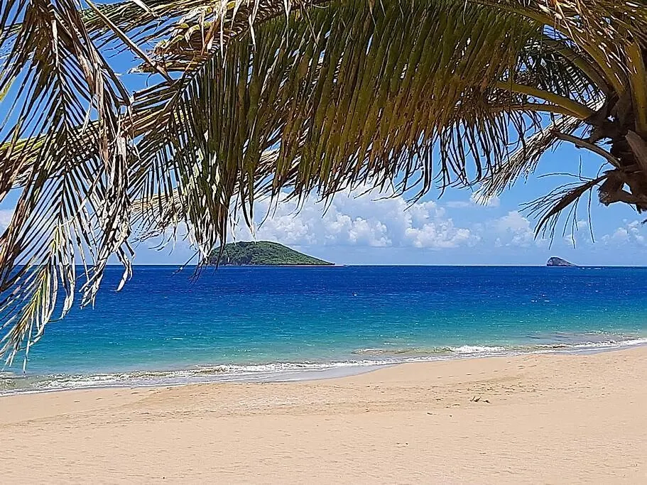 Holiday home Caraibes Cottage Grenat Piscine Privee 900M De Grande Anse Deshaies