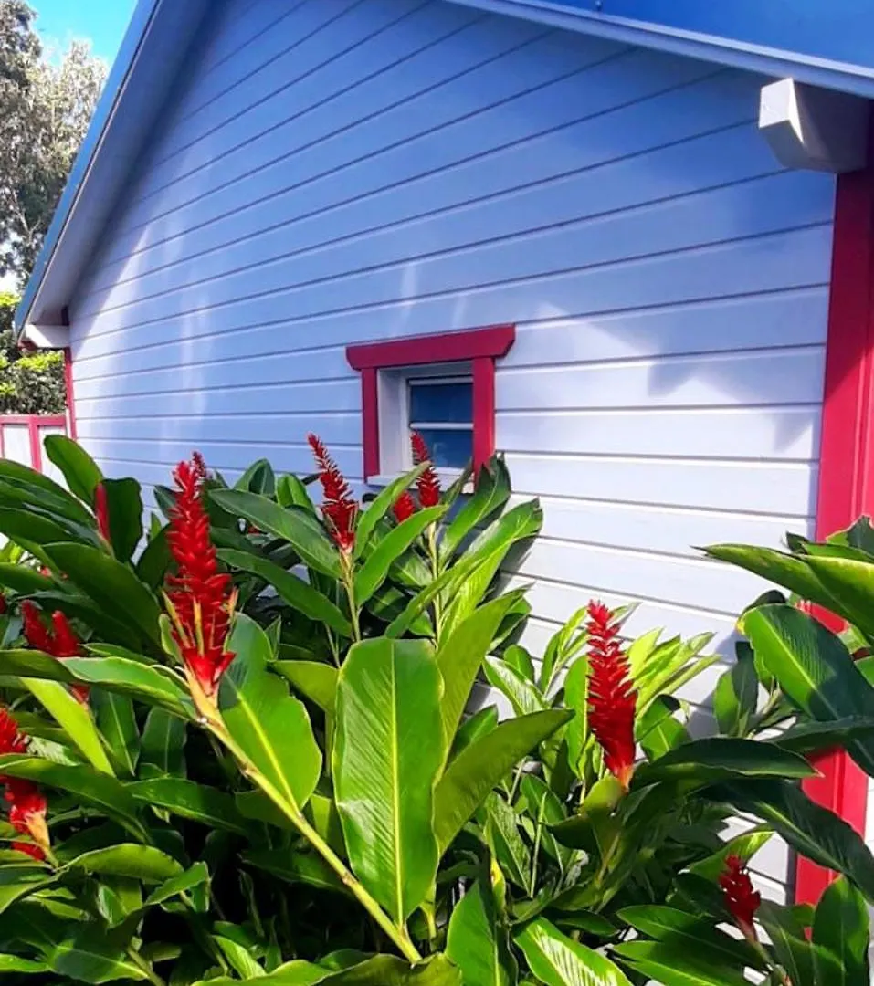 Caraibes Cottage Grenat Piscine Privee 900M De Grande Anse Deshaies