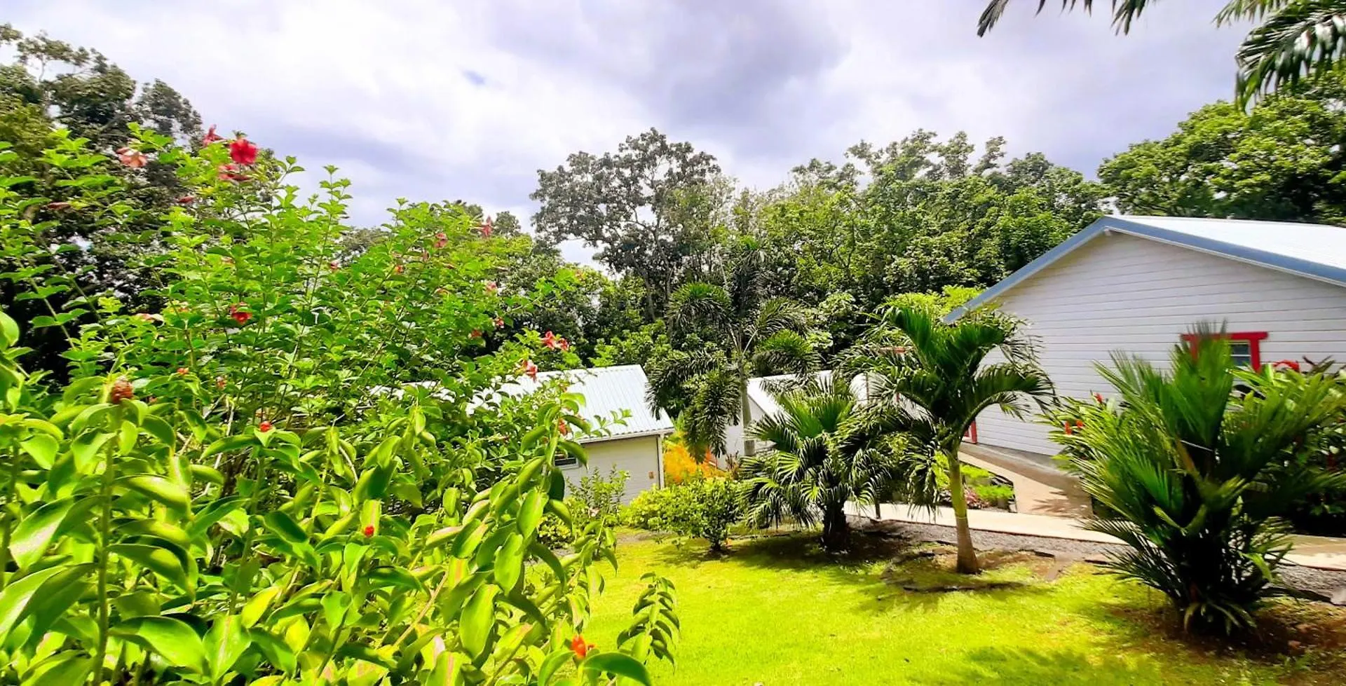 Caraibes Cottage Grenat Piscine Privee 900M De Grande Anse Deshaies Guadeloupe