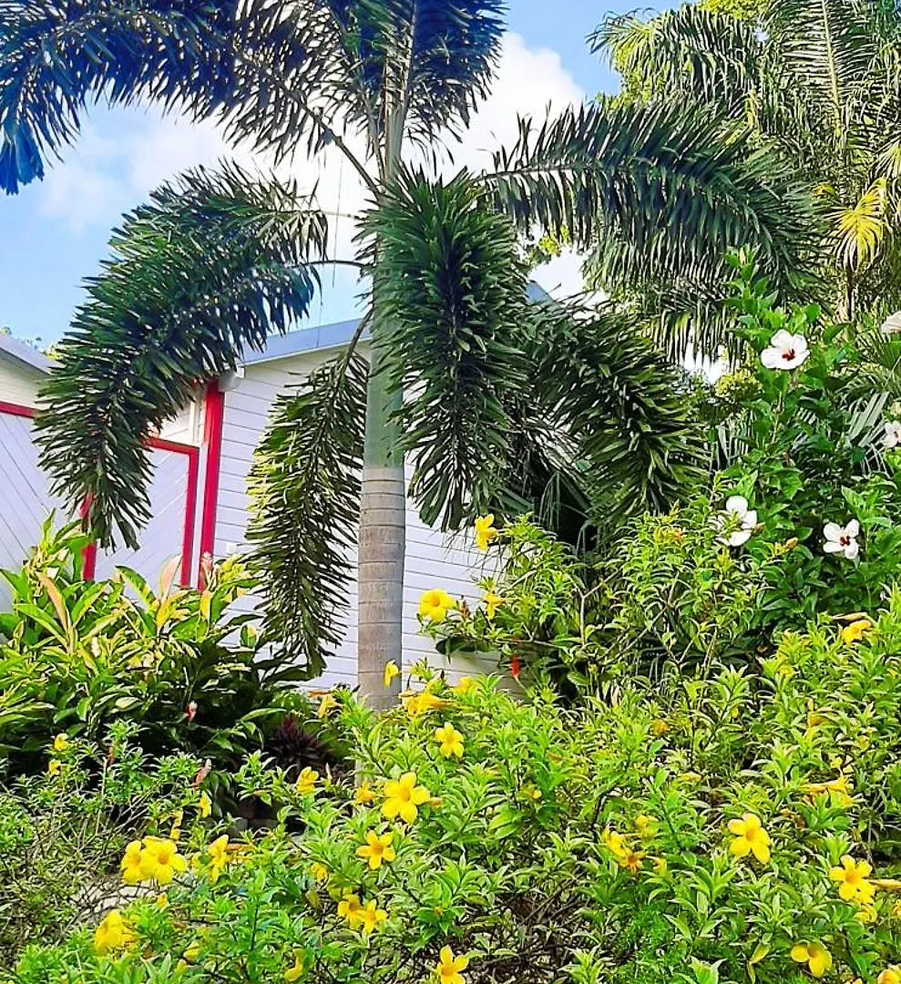 Caraibes Cottage Grenat Piscine Privee 900M De Grande Anse Deshaies Holiday home
