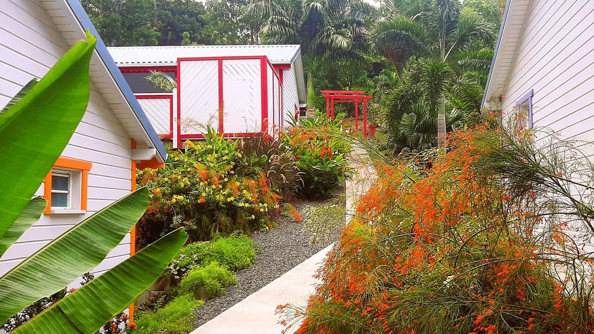 Caraibes Cottage Grenat Piscine Privee 900M De Grande Anse Deshaies Holiday home